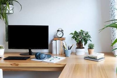 3 loại cây thủy sinh thu hút tài lộc cho bàn làm việc những ngày Thu