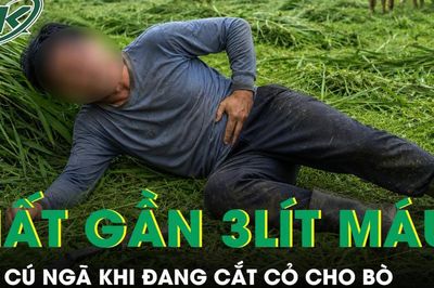 Đang cắt cỏ cho bò, người đàn ông ngã một cú mất gần 3 lít máu