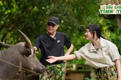 'Dấu chân tình thân' tập 2: Châu Bùi gặp màn 'thử rể', Hậu Hoàng 15 lần bị giục lấy chồng