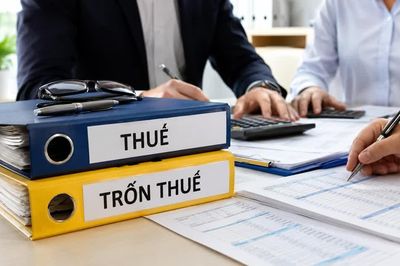 Trốn thuế có thể bị phạt gấp 3 lần số tiền thuế trốn