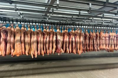Thịt heo nhập khẩu giá chỉ 43.000 đồng/kg, rẻ hơn nhiều giá trong nước