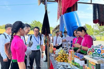 Sơn La quảng bá nông sản, sản phẩm OCOP tại Diễn đàn Việt Nam - Nhật Bản