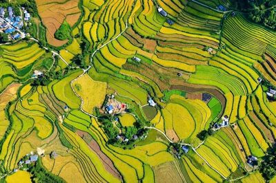 Đặc sắc Ngày hội Mùa vàng Tả Lèng giữa không gian núi rừng Tây Bắc