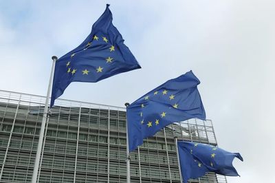 Kiểm soát chặt hàng vào EU