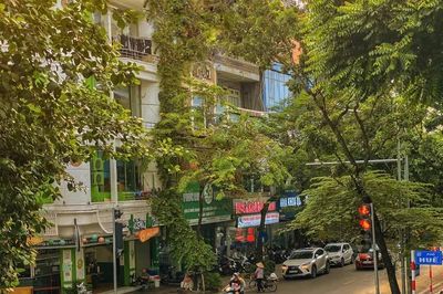 Dự báo thời tiết ngày 7/9: Hà Nội ngày nắng, có gió nhẹ