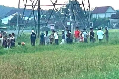 Gỡ dây vướng máy gặt, người đàn ông bị điện 35kV phóng tử vong ở Nghệ An