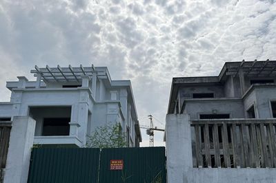 Phía sau biệt thự vùng ven Hà Nội giá hơn 100 triệu đồng/m2