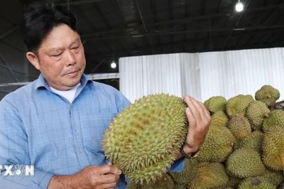 Khát vọng làm giàu của người có uy tín Lầu A Sy ở Lâm Đồng