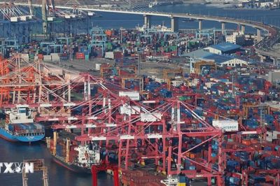 Hàn Quốc vượt kỷ lục xuất khẩu cả năm chỉ sau 8 tháng