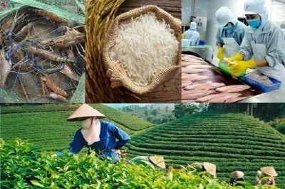 Nông sản Việt nâng chuẩn để vào sâu chuỗi cung ứng toàn cầu