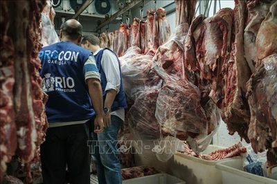 Brazil phản ứng trước quyết định EU đình chỉ nhập khẩu thịt