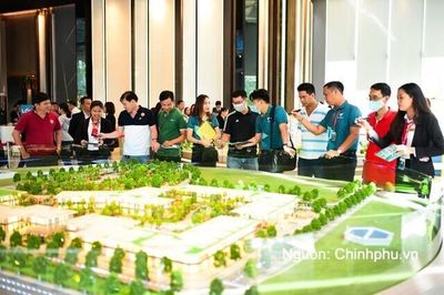 Người làm môi giới bất động sản không có chứng chỉ hành nghề bị phạt