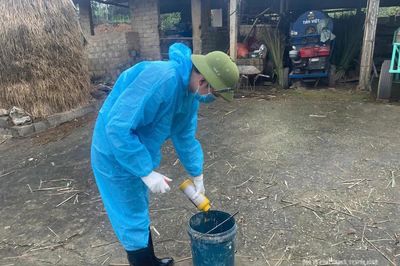 Chuẩn bị các điều kiện triển khai tiêm phòng gia súc, gia cầm đợt 2