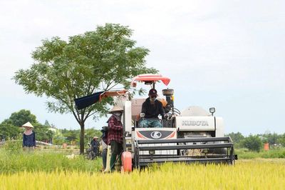 'Tam nông', thao thức và kỳ vọng