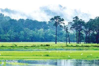 Ðánh thức tiềm năng du lịch Tà Lài