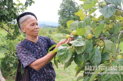 Vượt khó dựng cuộc sống mới
