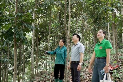 Mở thêm sinh kế trên đất Tân Lĩnh