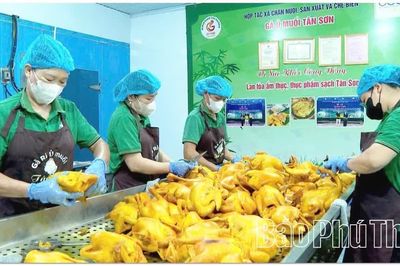 Mở rộng thị trường cho sản phẩm OCOP Minh Đài