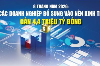 Infographics: 8 tháng, các doanh nghiệp bổ sung vào nền kinh tế gần 4,4 triệu tỷ đồng