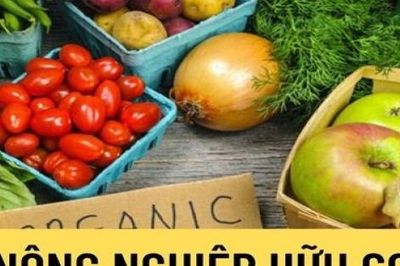 Những 'điểm nghẽn' cần tháo gỡ trong phát triển nông nghiệp hữu cơ hiện nay