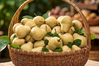 5 nhóm người nên ăn quả lê để có lợi cho sức khỏe