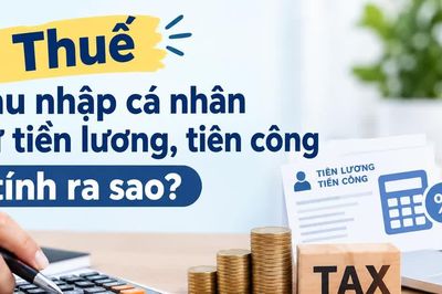 Tính thuế thu nhập cá nhân từ tiền lương, tiền công ra sao?