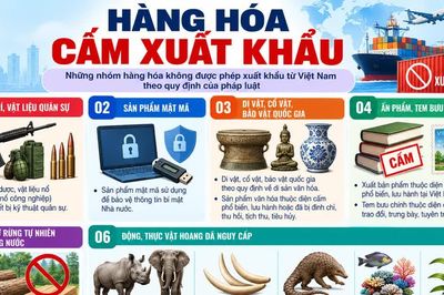 Không phải hàng hóa nào cũng được phép xuất khẩu
