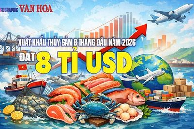8 tỉ USD sau 8 tháng: Trung Quốc - Hồng Kông kéo xuất khẩu thủy sản tăng tốc