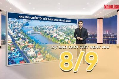 [Video] Dự báo thời tiết đêm nay và ngày mai 8/9/2026: Bắc Bộ còn mưa rải rác về đêm, Trung Bộ và Nam Bộ tăng mưa