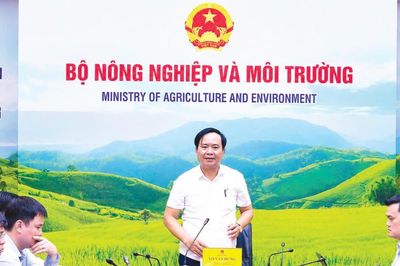 Gỡ 'thẻ vàng' IUU: Định vị nghề cá Việt Nam trong chuỗi giá trị thủy sản toàn cầu