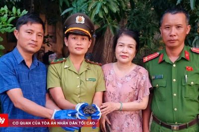 Người dân Huế giao nộp rùa nước ngọt đốm đen quý hiếm