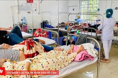 Đề nghị xử lý hộ kinh doanh khiến 254 người ăn bánh mì bị ngộ độc