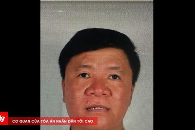 Truy tố vắng mặt Chủ tịch Công ty Cây xanh Công Minh