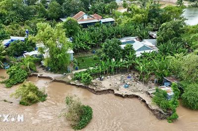 An Giang: Sạt lở nghiêm trọng bờ sông Hậu trên xã đảo Mỹ Hòa Hưng