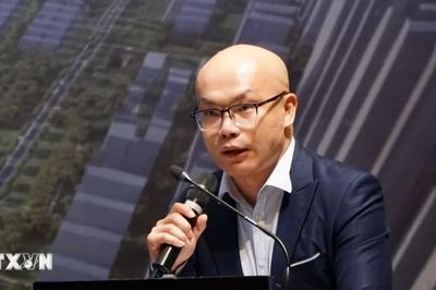 Chuyên gia 'hiến kế' thu hút nguồn vốn quốc tế