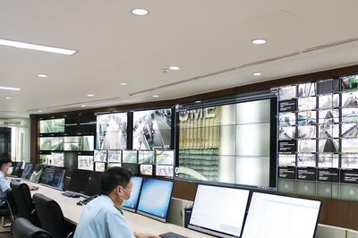 Thí điểm xác thực về khai hải quan với hàng hóa trị giá nhỏ qua VNeID