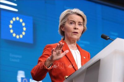 EU củng cố vai trò tại Bắc Cực, khẳng định sự ủng hộ dành cho Greenland