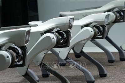 Cách Trung Quốc sử dụng chó robot, AI để bảo đảm an toàn nhà máy điện hạt nhân