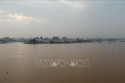 Cảnh báo lũ trên sông Đồng Nai