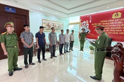 Khởi tố 10 đối tượng để điều tra, làm rõ hành vi đưa, nhận hối lộ, khai thác lâm sản trái phép