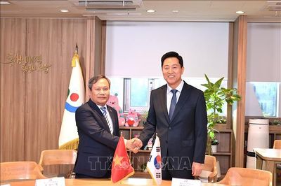 Tăng cường hợp tác song phương chiến lược giữa các thành phố Việt Nam - Hàn Quốc