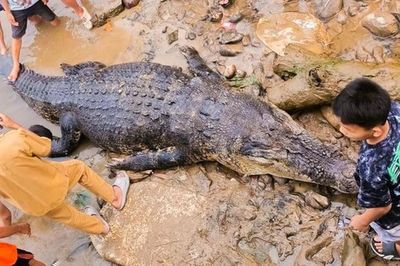 Đi kiểm tra lưới, ngư dân sốc nặng khi thấy cảnh tượng trước mắt