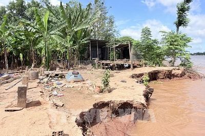 Chùm ảnh hiện trường sạt lở bờ sông Hậu ở An Giang