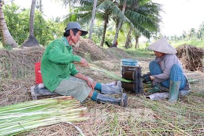 Nông nghiệp ở Vĩnh Long: Chuyển tư duy, đổi cuộc đời