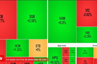 Chứng khoán sáng 7/9: Sắc đỏ lan rộng, VN-Index mất gần 14 điểm