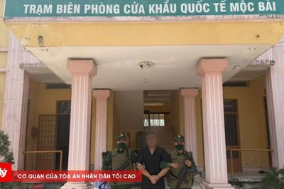 Vận động đối tượng đang bị truy nã về nước đầu thú