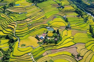 Ngày hội "Mùa vàng Tả Lèng" ở Lai Châu