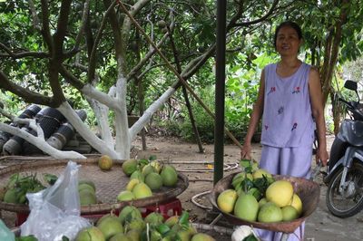 Đánh thức tiềm năng kinh tế vườn