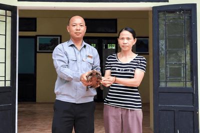 Thả cá thể rùa núi vàng quý hiếm về rừng Cù Lao Chàm