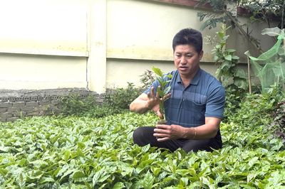 Hạt nhân giữ lửa chi bộ vùng cao